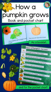 pumpkin life cycle book and pocket chart pumpkin life