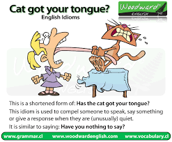 Cat Got Your Tongue Woodward English English Idioms Idioms English Phrases