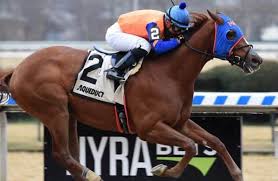 Not the wizard of oz xxx. Charitable Cause Behind Not That Brady S Gotham Stakes Run