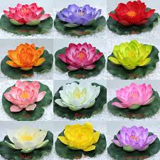 Tips cara pemeliharaan bunga lotus yang maka dari itu lotus kerap ditanam dengan media tempayan maupun kolam air. 83 Gambar Bunga Teratai Paling Bagus Gambar Pixabay