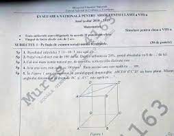 Probele au început la ora 9.00, moment în care, în fiecare sală, au fost distribuite subiectele. Subiecte Simulare MatematicÄƒ Clasa A Viii A Vezi Ce ExerciÈ›ii Au Avut De Rezolvat Elevii La Simularea EvaluÄƒrii NaÈ›ionale