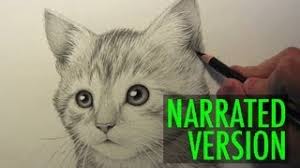 This cat drawing requires some more kitty cats is a video tutorial that will take us through all the steps of drawing a kitten, from. How To Draw A Kitten Narrated Step By Step Youtube