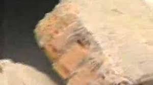 Telefutura network bumper cinescape 2011. The Guardian Angle Telefutura Cinescape Telefutura Cinescape Outro 2019 Youtube Late Night Comedia A Mas Tardar Desmadrugados Noche De Pelicula Sports Republica Deportiva News Noticiero Univision
