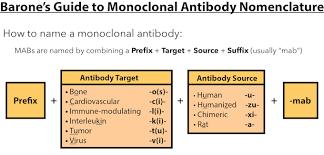 mnemonics pharmacology