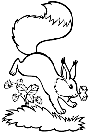 Kostenlose eichhörnchen ausmalbilder zum ausdrucken. Ausmalbilder Eichhornchen 100 Bilder Zum Kostenlosen Drucken