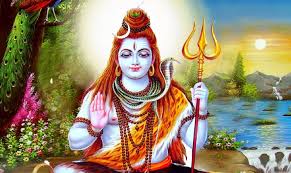 મહિલાએ કહ્યું, હા મેં મહાદેવ અને નંદીને જોયા છે. તેનો ફોટો પણ ખેંચીને લાવી  છુ. |