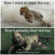 Are You Working On Your Run This Off Season Running Triathlon Gym Memes Triathlon Funny Memes