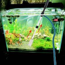 Untuk melengkapi akuarium air tawar maka perlu disediakan dan dibeli perlengkapan berikut ini (dalam pengembangan/ underconstruction) 1. Perlengkapan Binatang Peliharaan Pompa Pembersih Dan Penyedot Debu Dengan Baterai Untuk Aquarium Shopee Indonesia
