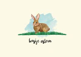 Die gedichte stammen von bekannten deutschsprachigen dichtern so findet ihr schnell und einfach die ostergrüße von ringelnatz oder die gedichte zu ostern von rilke und glückwünsche zu ostern oder. Hasige Ostergrusse Frohe Ostern Echte Postkarten Online Versenden