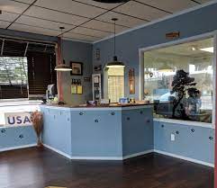 Add website suggest an edit. Tidy Dog Pet Salon Full Service Grooming Everyone Loves A Tidy Dog