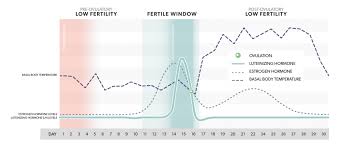 what your hormone data can tell you about your fertility