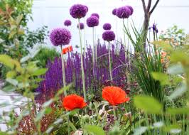 In general, deer resistant perennials boast characteristics like a bitter flavor, thorny stems or strong scent. Vw Garden Deer Resistant Perennials For Spokane Zone 5