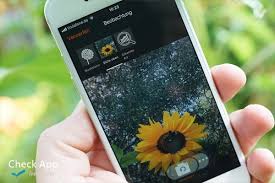 Einheimische wildpflanzen und bäume bestimmen. Pflanzen Erkennen Per App Flora Incognita Check App