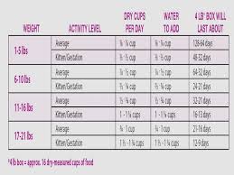 feeding your kitten kitten food chart and food how much