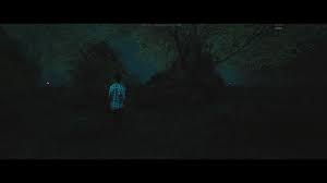 Createq about this game the haunting is a first person horror adventure game in where you fight ghosts using a camera and explore the mysteries of the. The Haunting Blood Water Curse Early Access Bei Steam