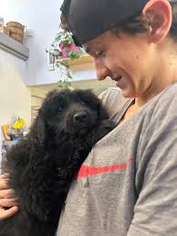 My Buddy. Smarter then the average dog!!