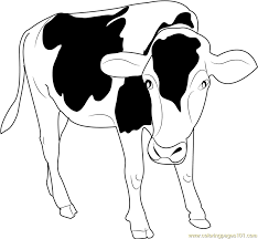 Cow printable coloring pages are a fun way for kids of all ages to develop creativity, focus, motor skills and color recognition. Black And White Cow Coloring Page For Kids Free Cow Printable Coloring Pages Online For Kids Coloringpages101 Com Coloring Pages For Kids