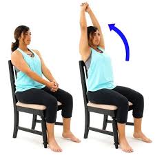 Image result for Shoulder Range of Motion Exercises