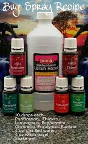 Young living essential oils can be used in a variety of ways from in oil burners, directly applying to your skin, in a diffuser or some oils can even be. Yleo Pest Control