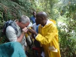 Image result for Hedythyrsus thamnoideus