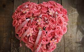 Check spelling or type a new query. Wallpaper 1920x1200 Px Beautiful Buds Flower Flowers Heart Love Pink Ring Rose 1920x1200 Wallbase 1777515 Hd Wallpapers Wallhere