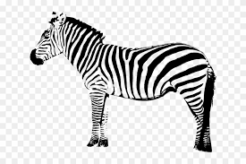 Check spelling or type a new query. Zebra Cartoon Zebra Png Free Transparent Png Clipart Images Download