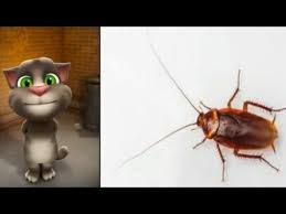 تعليم الاطفال الكلام والنطق والزواحف والحشرات بالصوت والصورة Youtube Dragonfly Tattoo Dragonfly