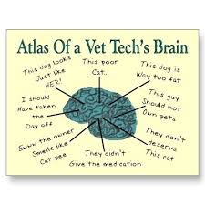 Funny Vet Tech Quotes Quotesgram