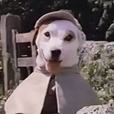 The wishbone community sent alondra to brooklyn ballet. Wishbone Movie In Development Produced By Peter Farrelly