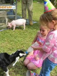 Professional, friendly staff that looks forward. Parties Mobile Animal Farm Sydney Petting Zoo Hire Kindifarm Com