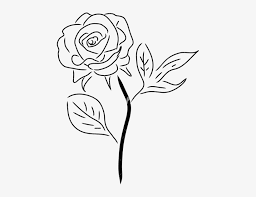 Learn how to draw long stem roses below. Rose With Stem Drawing At Getdrawings Drawing Of A Rose Transparent Transparent Png 455x550 Free Download On Nicepng