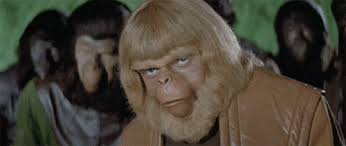 Happy birthday paul maurice ! Planet Of The Apes 1968 Album On Imgur