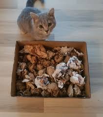 Wuhlkiste Katzen Spielzeug Basteln Katzen Spielzeug Selbstgemachtes Katzenspielzeug