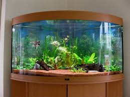 14 Splendid Diy Aquarium Furniture Ideas To Beautify Your Home Cuethat Aquarium Design Diy Aquarium Aquarium