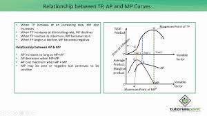 Relationship Between Tp Ap And Mp Curves