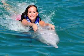 Maybe you would like to learn more about one of these? Galveston Cruises Dolphin Swim Excursions