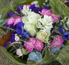 Place a finger on the soil surface on each side of the seedling that is to remain to prevent it being pulled out, then gently pull out surplus seedlings on either. Jador Flowers Melbourne Florists