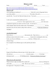 Plant and animal cell jobs. Cell Worksheets