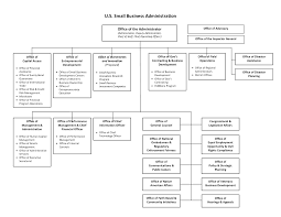 International Business Organization Chart International