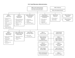 international business organization chart international