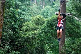 I don't own this song. Alami Pengalaman First Flying Fox Park Di Skytrex Sungai Congkak Hulu Langat Verst Berita