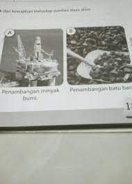 Biasanya bahan bakar mengandung energi panas yang dapat dilepaskan dan dimanipulasi. Apa Kewajiban Kita Terhadap Bahan Bakar Minyak Cara Golden