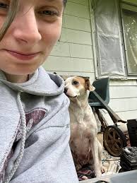 Lost dog in Gracy, KY