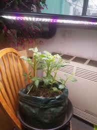 The hanging kit for the led panel. 45 Watt Led Grow Light Panel Aerogarden