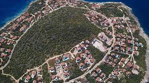 Bir süredir ilik kanseri tedavisi gören sarıkavak, hayatını. Antalya Da Yangin Sonrasi Cikan Manzara Dikkat Cekti