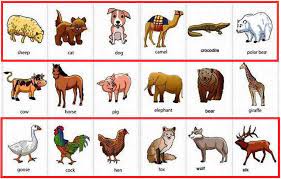 Check spelling or type a new query. 8700 Gambar Dan Nama Hewan Dalam Bahasa Indonesia Terbaik Gambar Hewan