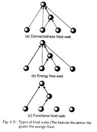 Maybe you would like to learn more about one of these? Food Web Meaning And Types Zoology