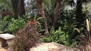 Check spelling or type a new query. Best 15 Landscaping Supplies In Galveston County Tx Houzz