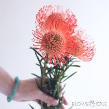 Send flower greetings simply and comfortably online with floraprima. Pin By Recomred On Flowers And Plants In 2021 Protea Flower Fresh Wedding Flowers Online Wedding Flowers