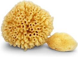 Honeycomb regular cut, soft, durable Amazon Com Real Sea Sponges For Babies 2 Pk Bath Care Set Gentle Kind On Skin For Bathing Washing Body Eyes Ears Also For Newborn Toddler Kids Baby Shower Spa